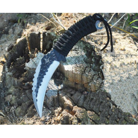 Strider Claw Hunting Knife Outdoor High Hardness Tactical Portable Defense Multi-Purpose Karambit UD405453
